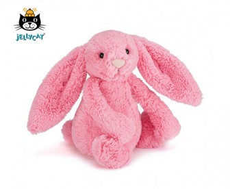 Jellycat 害羞邦尼兔 雪酪粉红色 2种规格可选 Jellycat 害羞邦尼兔 雪酪粉红色 2种规格可选
